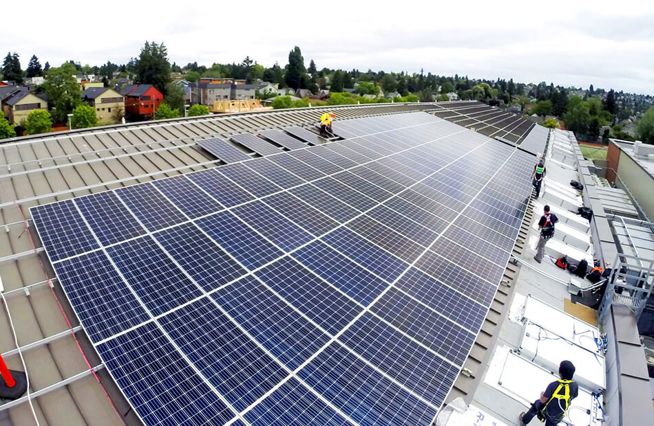 Rigid Project Timelines